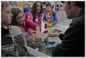 Dungeness River Festival @ Railroad Bridge Park, Sequim, WA